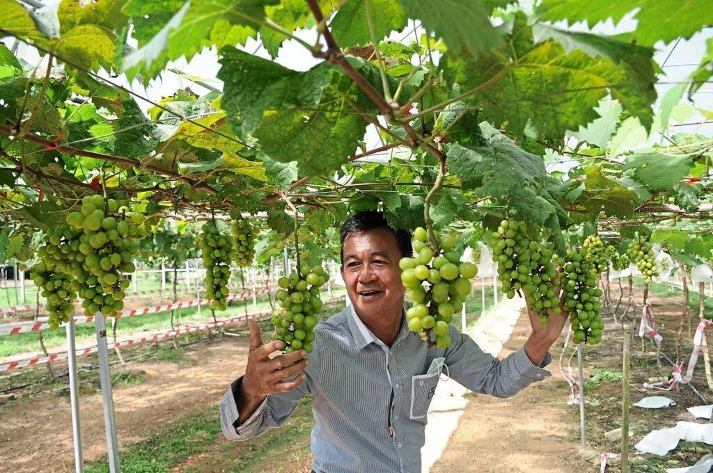 Hard work bears sweet fruits | The Star