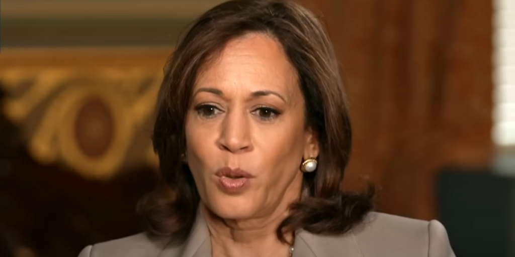Kamala Harris mocked for rambling 'word salad' answer to why Democrats didn't codify Roe v. Wade: 'What is she saying?'