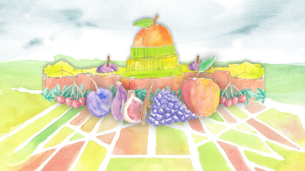 Foraging led me to a world of free fruits and vegetables : NPR