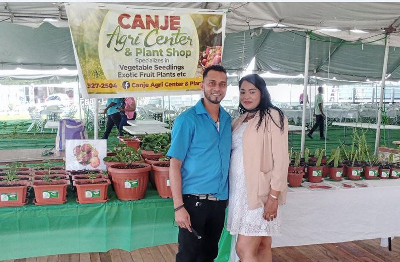 Berbice couple reaps benefit of growing strawberries, other fruits - Guyana Chronicle