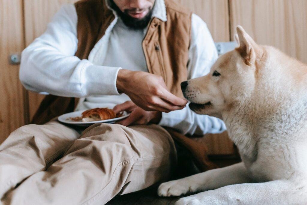 Eating Table Scraps and Raw Food May Help Protect Dogs Against Stomach Issues | Smart News| Smithsonian Magazine