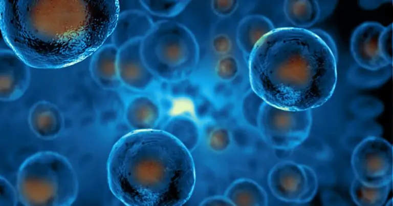 You Can Help Your Stem Cells Function Better for a Healthier Body
