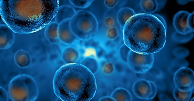 You Can Help Your Stem Cells Function Better for a Healthier Body