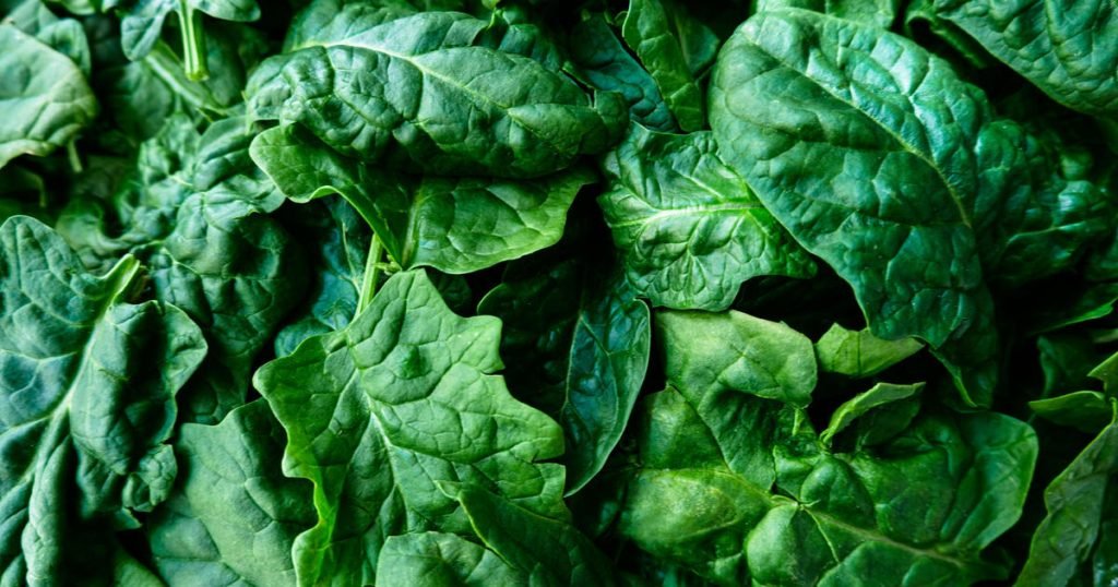 Salad and spinach kits sold in 7 states recalled over listeria risk